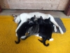 Mama bei der Arbeit