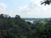 Treetopwalk