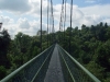 Treetopwalk