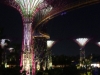 Gardens by the Bay