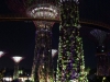 Gardens by the Bay