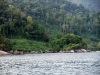 Pulau Tioman
